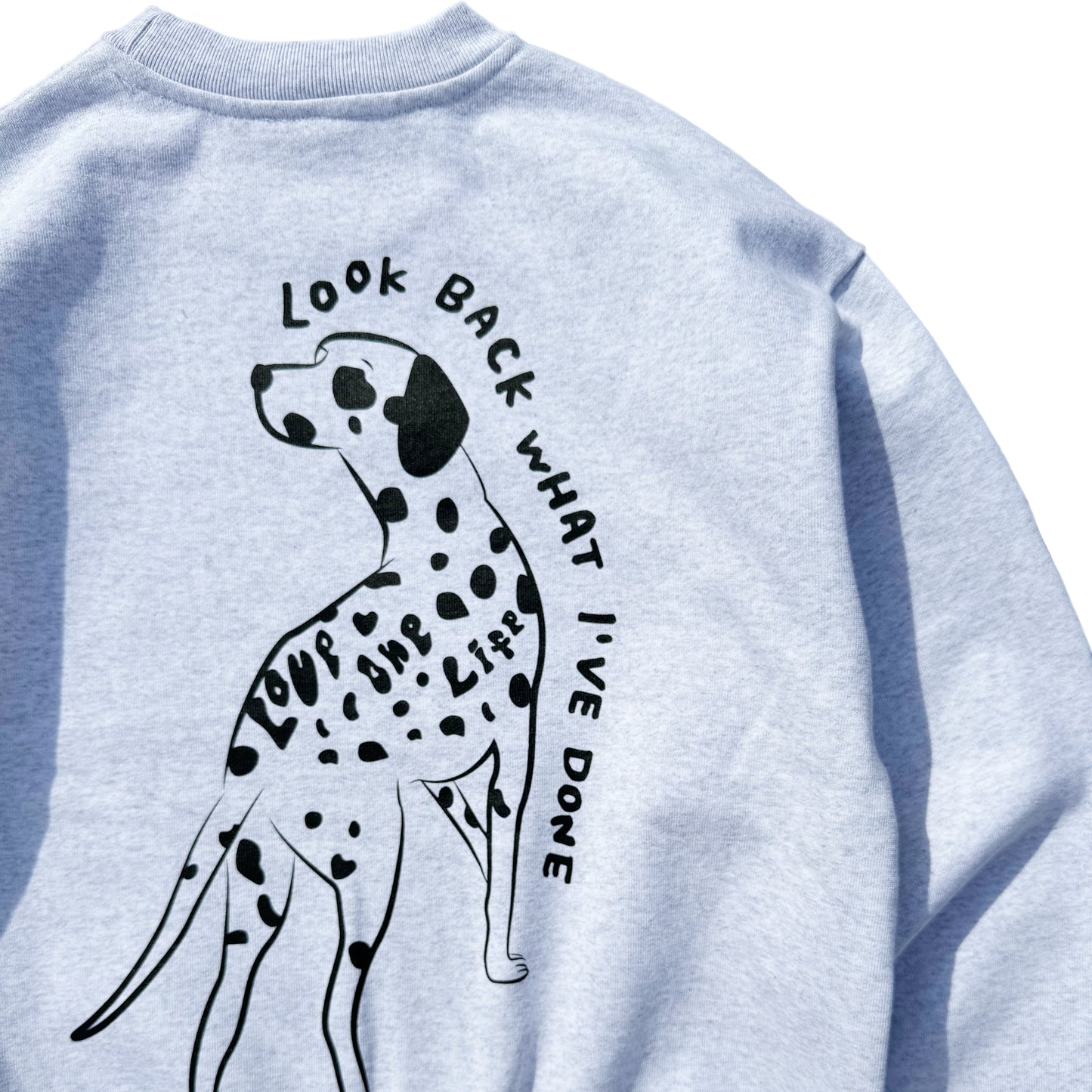 dog sweater in gray